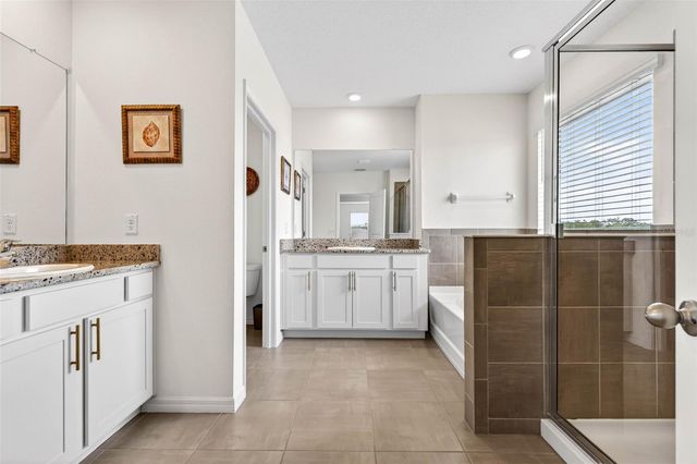 16946 OVAL RUM DRIVE, Wimauma, FL 33598