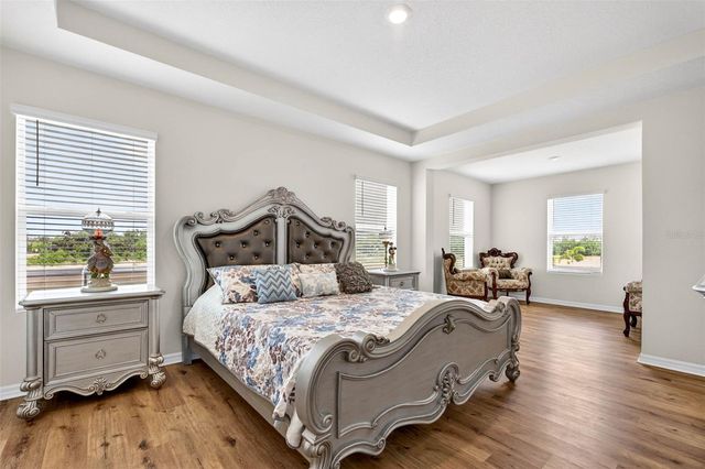 16946 OVAL RUM DRIVE, Wimauma, FL 33598