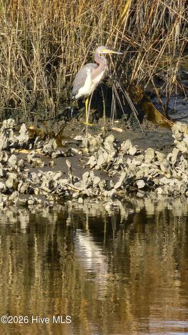 128 Madison Bay Drive, Beaufort, NC 28516