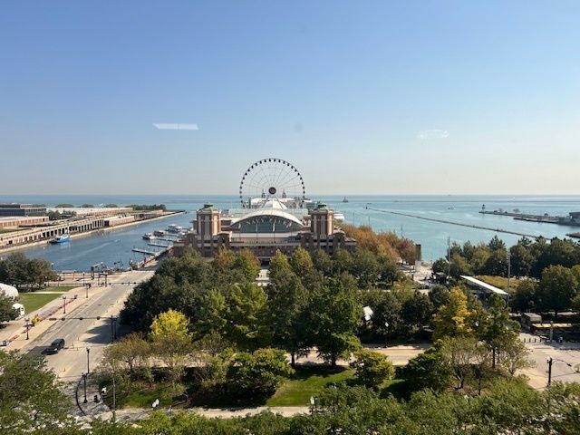 505 N Lake Shore Drive 1006, Chicago, IL 60611