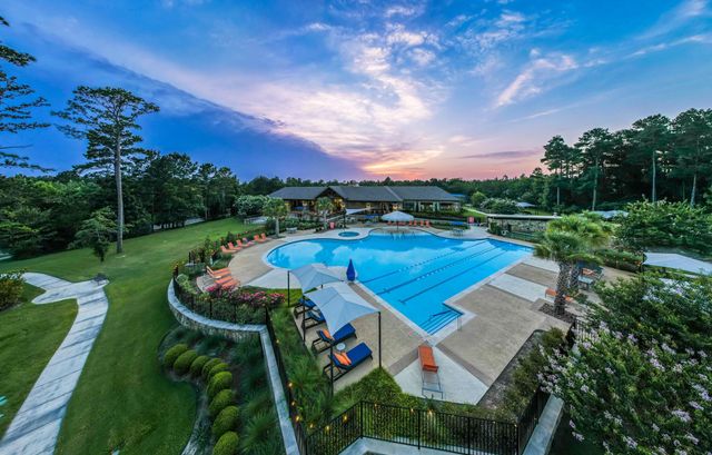 111 Mountain Laurel Drive, Montgomery, TX 77316