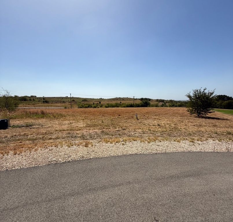 2601 Lucky Pepper Drive, Granbury, TX 76049 — photo 4
