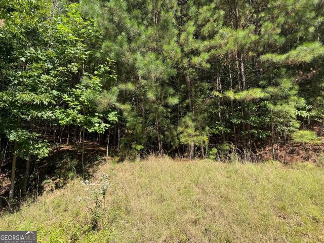 LOT 25 Trailwood Drive, Blairsville, GA 30512