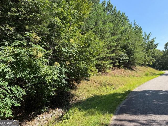 LOT 25 Trailwood Drive, Blairsville, GA 30512