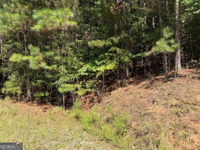 LOT 25 Trailwood Drive, Blairsville, GA 30512