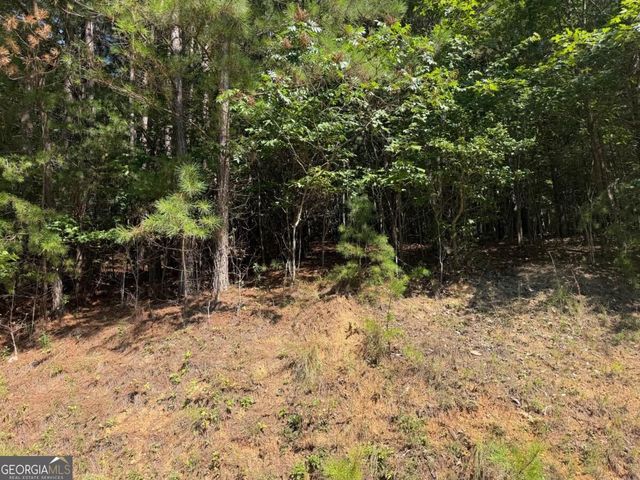 LOT 25 Trailwood Drive, Blairsville, GA 30512