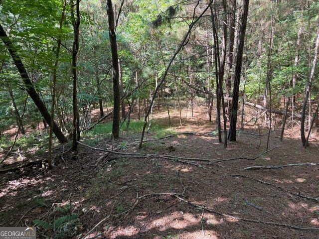 LOT 25 Trailwood Drive, Blairsville, GA 30512