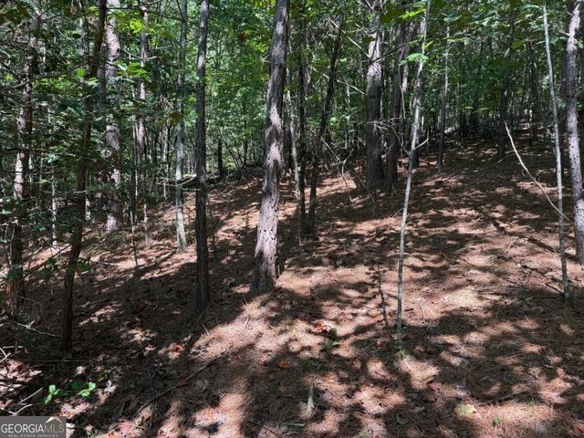 LOT 25 Trailwood Drive, Blairsville, GA 30512