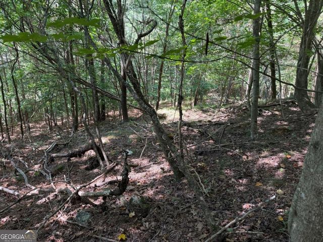 LOT 25 Trailwood Drive, Blairsville, GA 30512