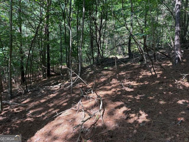 LOT 25 Trailwood Drive, Blairsville, GA 30512