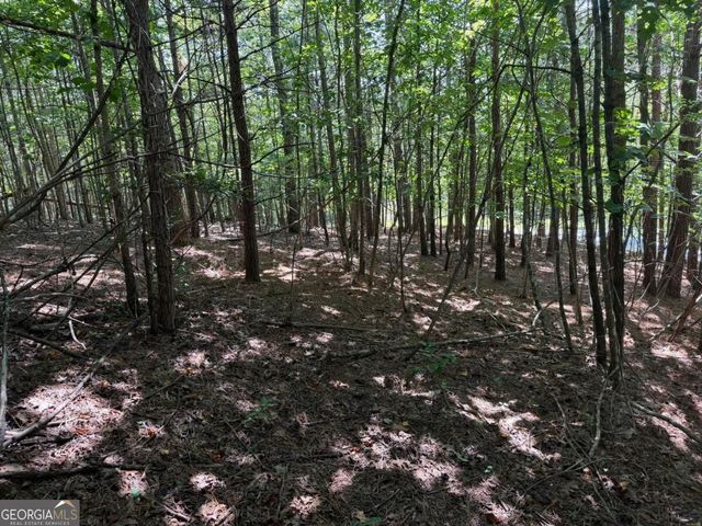LOT 25 Trailwood Drive, Blairsville, GA 30512