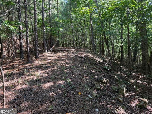 LOT 25 Trailwood Drive, Blairsville, GA 30512