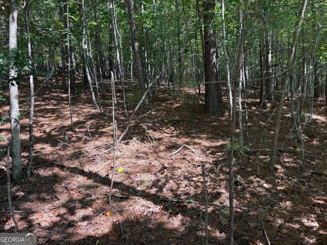 LOT 25 Trailwood Drive, Blairsville, GA 30512