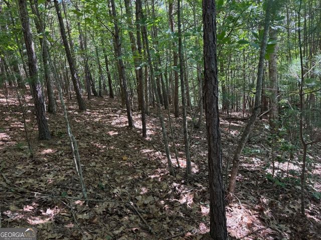 LOT 25 Trailwood Drive, Blairsville, GA 30512