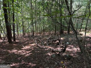 LOT 25 Trailwood Drive, Blairsville, GA 30512