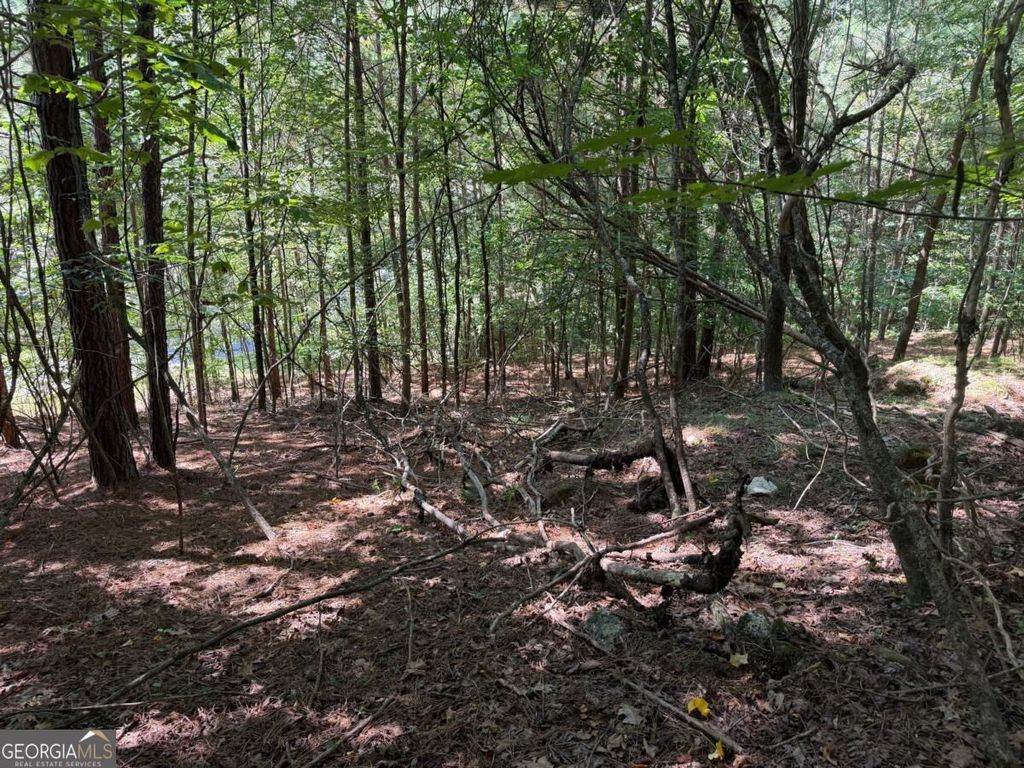 LOT 25 Trailwood Drive, Blairsville, GA 30512