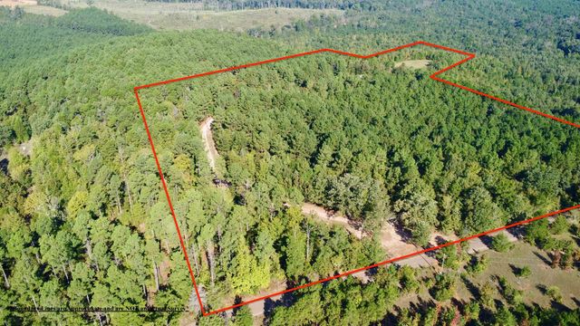 3299 CR 1579-2, Avinger, TX 75630