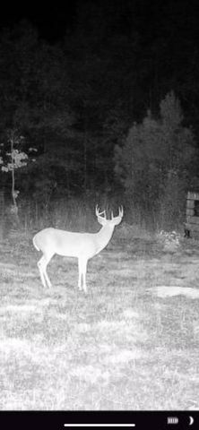 3299 CR 1579-2, Avinger, TX 75630