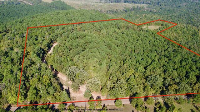 3299 CR 1579-2, Avinger, TX 75630