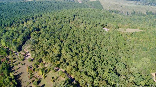 3299 CR 1579-2, Avinger, TX 75630