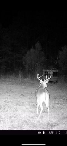 3299 CR 1579-2, Avinger, TX 75630