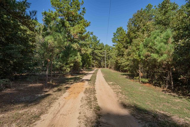 3299 CR 1579-2, Avinger, TX 75630