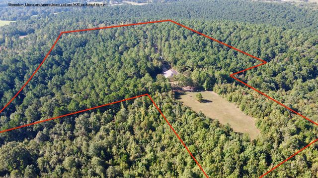 3299 CR 1579-2, Avinger, TX 75630