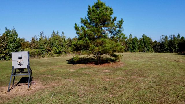 3299 CR 1579-2, Avinger, TX 75630