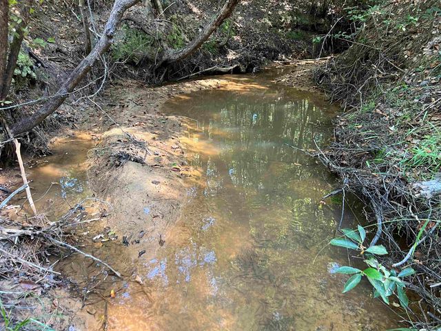 3299 CR 1579-2, Avinger, TX 75630