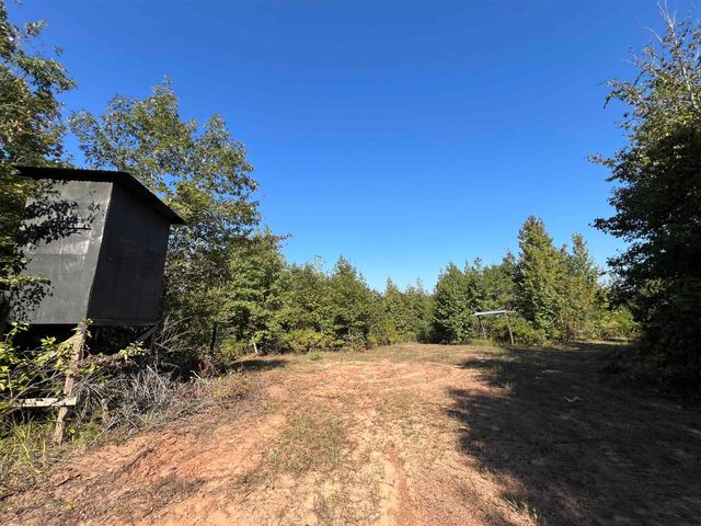 3299 CR 1579-2, Avinger, TX 75630