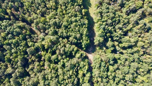 3299 CR 1579-2, Avinger, TX 75630