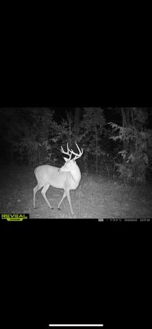 3299 CR 1579-2, Avinger, TX 75630