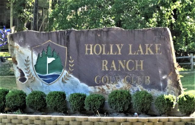 178 Pine Tree Unit B, Holly Lake Ranch, TX 75765