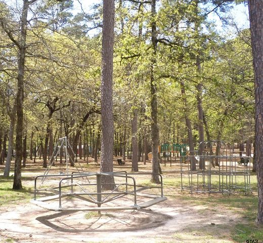178 Pine Tree Unit B, Holly Lake Ranch, TX 75765