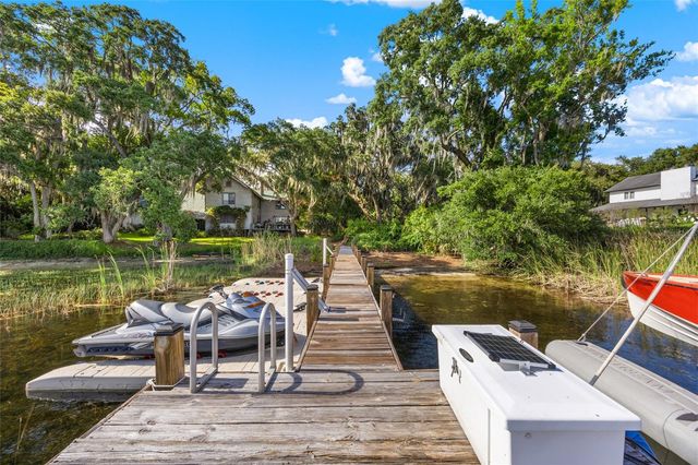 1924 DOWN HOLLOW LANE, Windermere, FL 34786