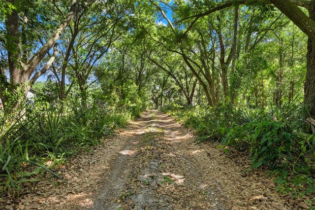 1924 DOWN HOLLOW LANE, Windermere, FL 34786