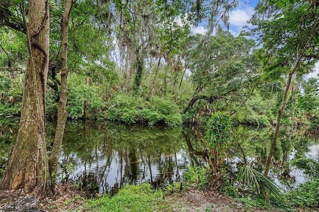 5116 ABISHER WOOD LANE, Brandon, FL 33511