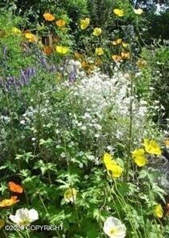 16003 Sunset Bend Circle, Anchorage, AK 99516