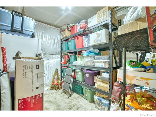 12534 Shore Point Street, Firestone, CO 80504