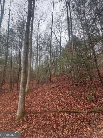 0 W Mountaintown Trail, Ellijay, GA 30540