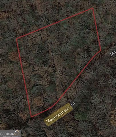 0 W Mountaintown Trail, Ellijay, GA 30540