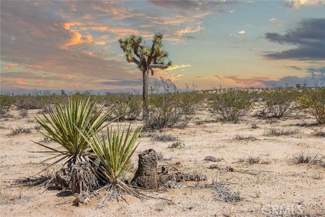 0 Sunny Sands Drive, Joshua Tree, CA 92252