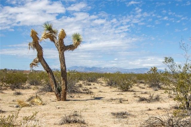 0 Sunny Sands Drive, Joshua Tree, CA 92252