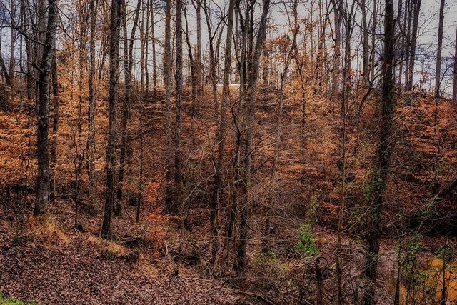 001 Blue Heron Cove, Abbeville, SC 29620