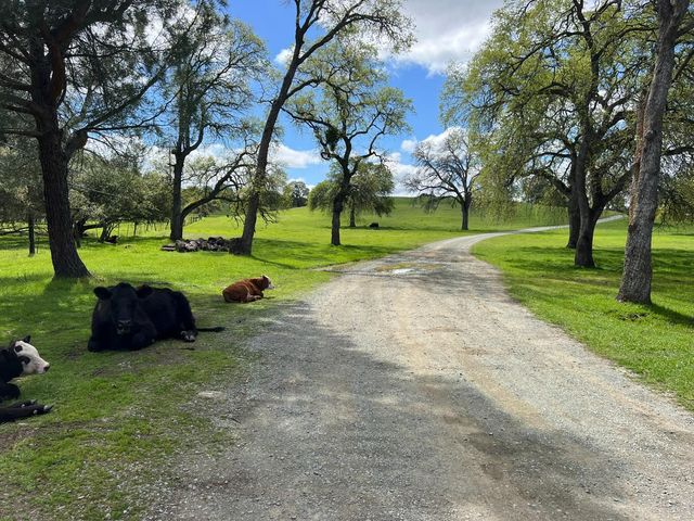 11176 S Camanche Pkwy, Wallace, CA 95354