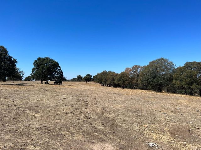 11176 S Camanche Pkwy, Wallace, CA 95354