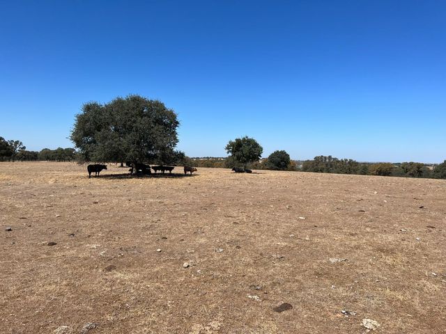 11176 S Camanche Pkwy, Wallace, CA 95354