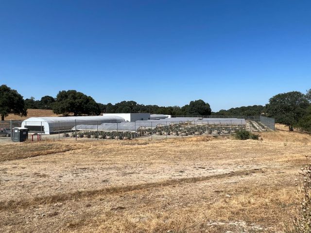 11176 S Camanche Pkwy, Wallace, CA 95354