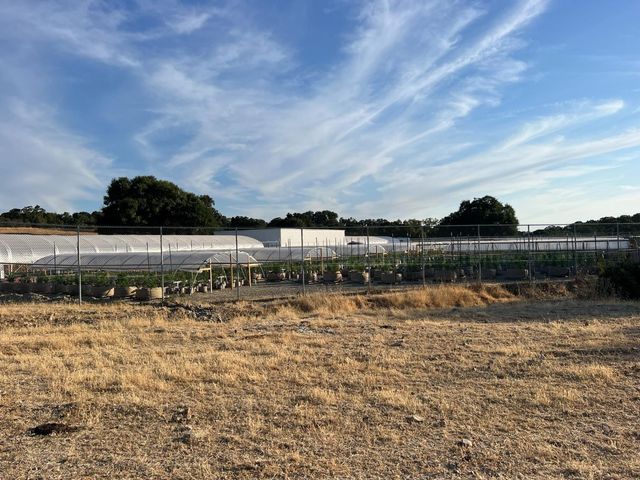 11176 S Camanche Pkwy, Wallace, CA 95354