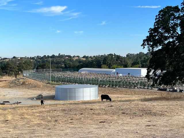 11176 S Camanche Pkwy, Wallace, CA 95354